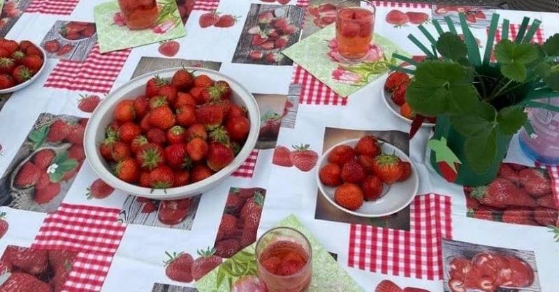 Erdbeerfeste im Pflegestift 🍓