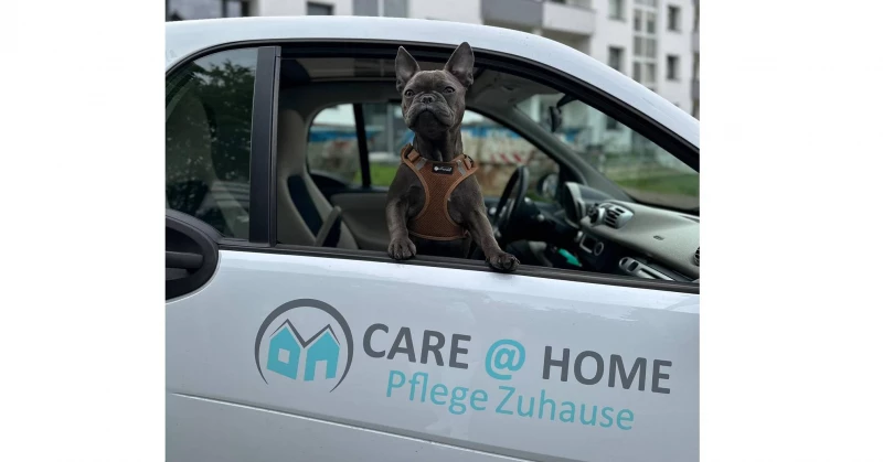 Dürfen wir vorstellen , 