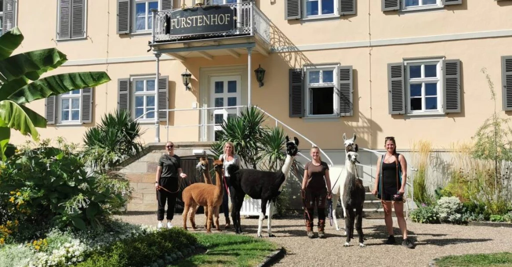 Arbeitgeber Bild