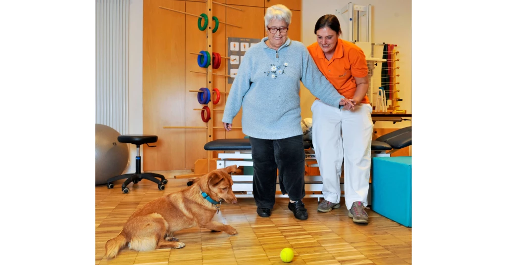 Geriatriezentrum Neuburg