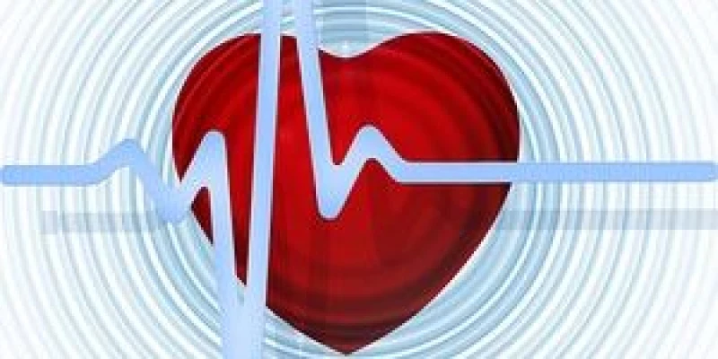 GFO Kliniken Südwestfalen gGmbH - Standort St. Josefs-Hospital Lennestadt