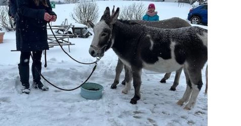 Im Sommer sowie im Winter