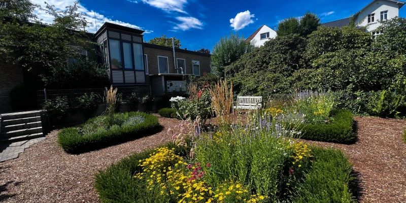 Unser Kräutergarten 🌱