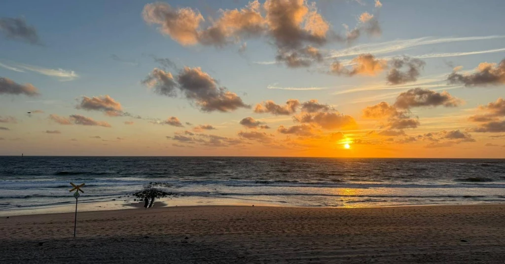 Pflegedienste Sylt gGmbH