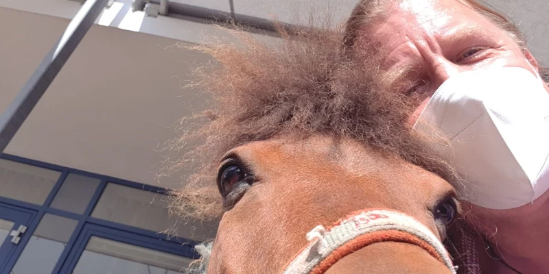 da steht ein Pferd auf dem Flur ! 
