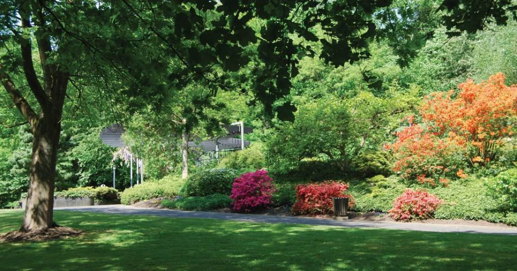 Cover image for employer My Way Psychiatrische Klinik