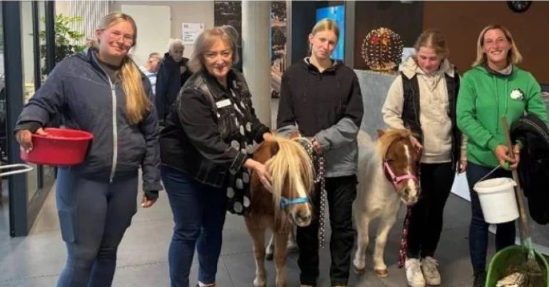 🐴 Ponys zu Besuch im Seniorenzentrum St. Josef in Kerpen-Buir 