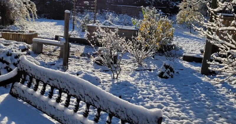Unser schönere Garten auch in der Winterzeit